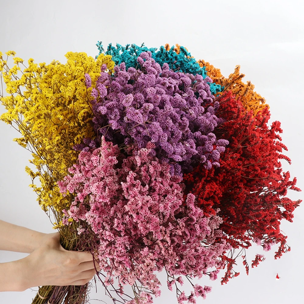 Fiori secchi in vero cristallo - Dried Flower Bulk recensione e prezzo