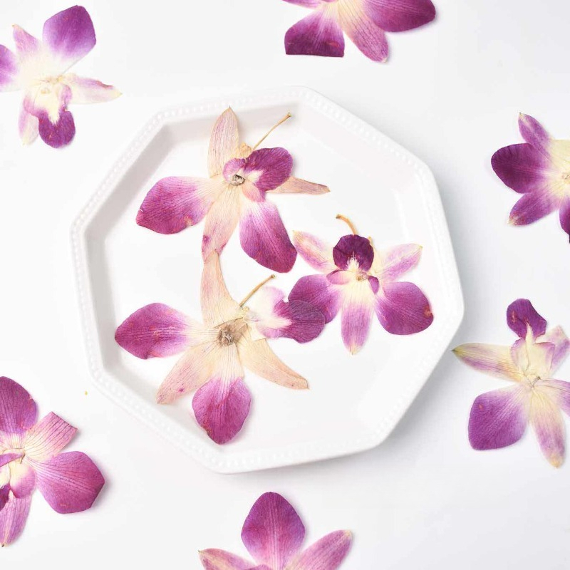 4 Pezzi, Fiori di Orchidea Far - Resin Craft Ideas recensione e prezzo